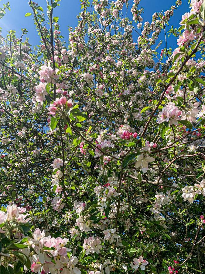 Holiday Home Les Plachettes Flobecq Экстерьер фото