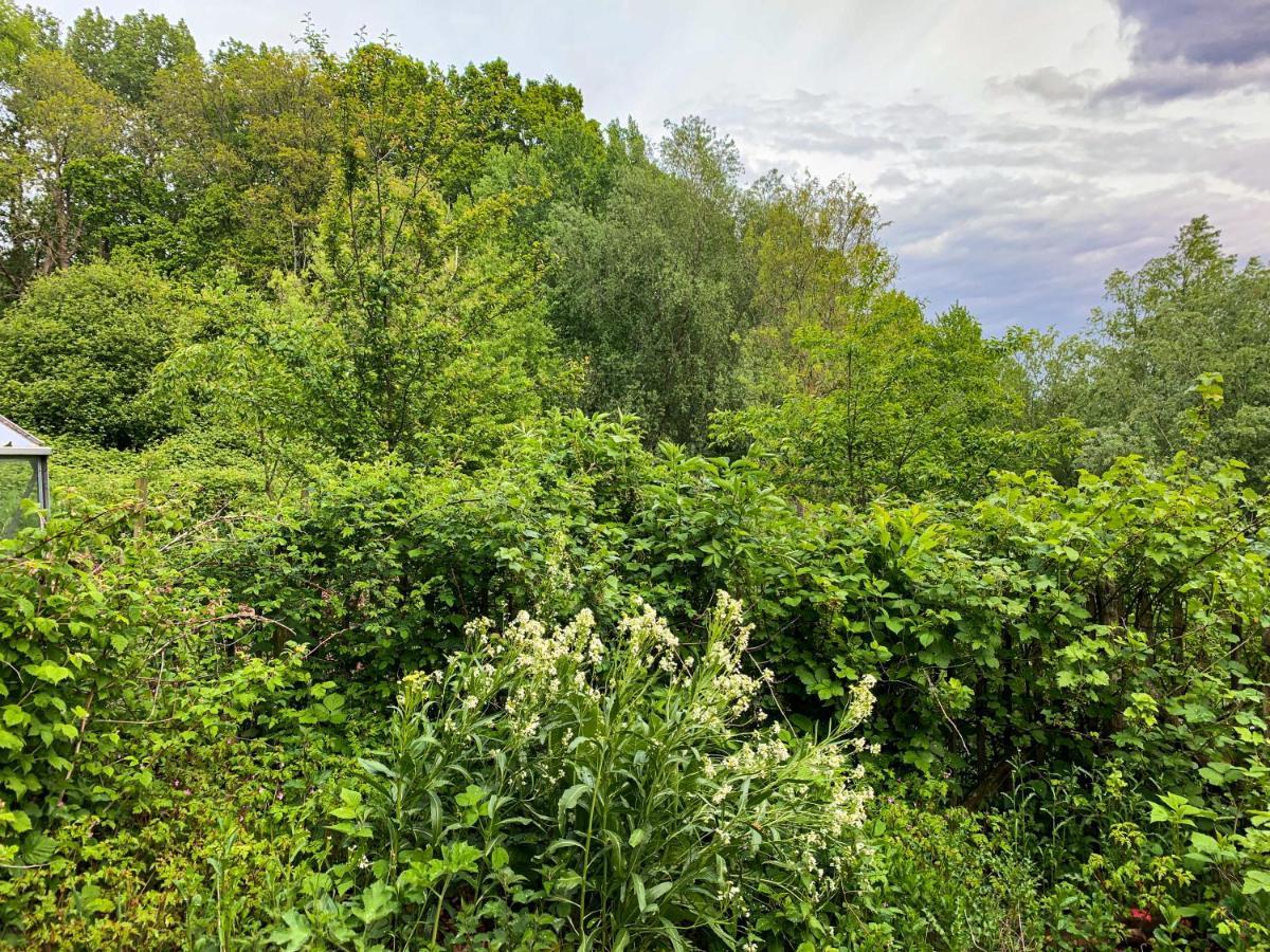 Holiday Home Les Plachettes Flobecq Экстерьер фото